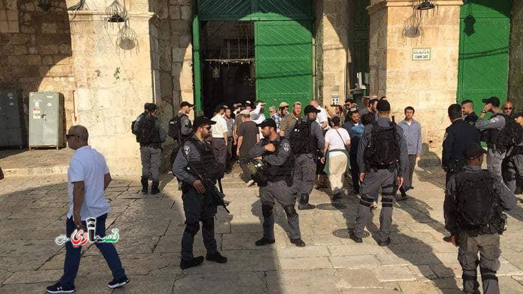 720 مستوطنًا إسرائيليًا يقتحمون المسجد الأقصى بحماية الشرطة